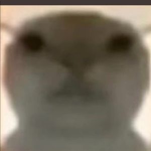 Meet your Posher, Erick